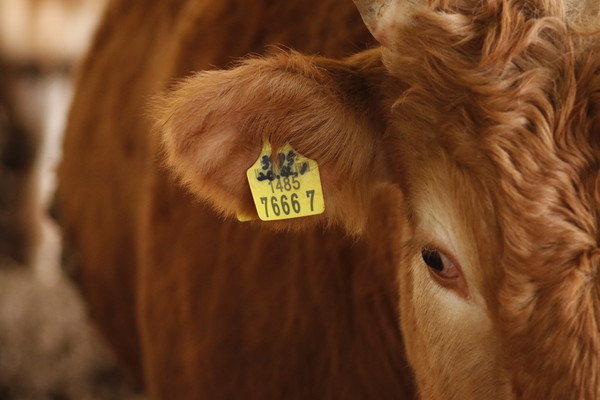 출처: (주) 멜리엔스