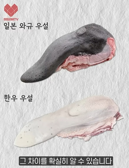 아는 사람만 먹는 소고기 특수부위, 우설