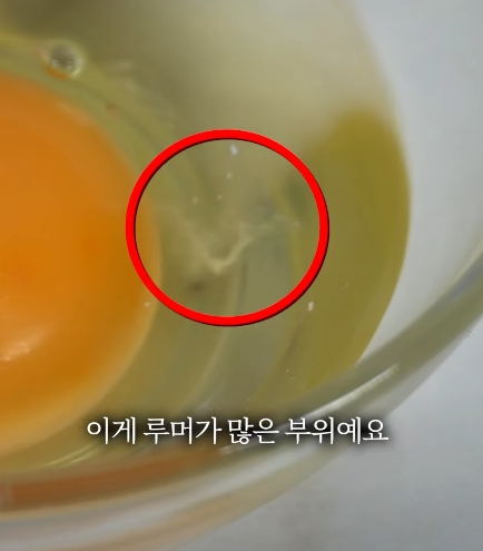 계란 알끈, 콜레스테롤 덩어리다?