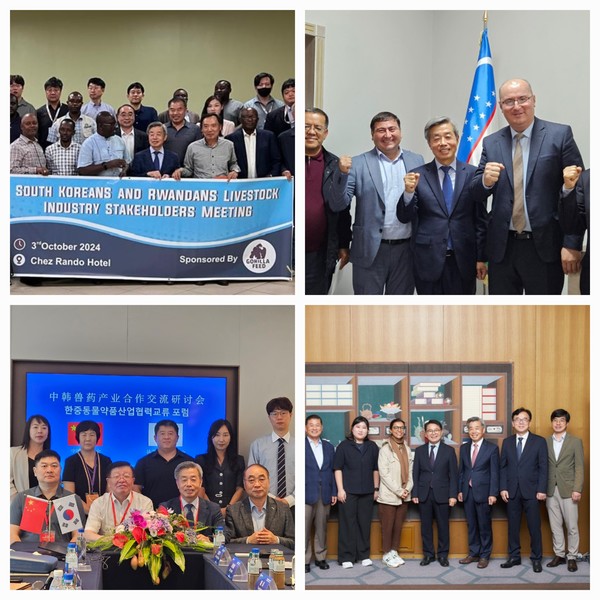 (시계 방향) 2024년 아프리카 시장개척단-축산협단체 협의회 방문 설명회,  2023년 우즈베키스탄 수의축산위원회  방문 설명회, 2024년 UAE 식의약처장 방한 관계관 회의, 2024년도 중국수약협회 방문 설명회 사진   ©한국동물약품협회