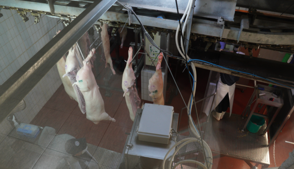                                                최첨단 축산물종합처리장(LPC)