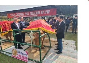 데이터로 키운 한우, 전국을 제패하다… ‘2025 경북한우경진대회’ 그랜드 챔피언 탄생
